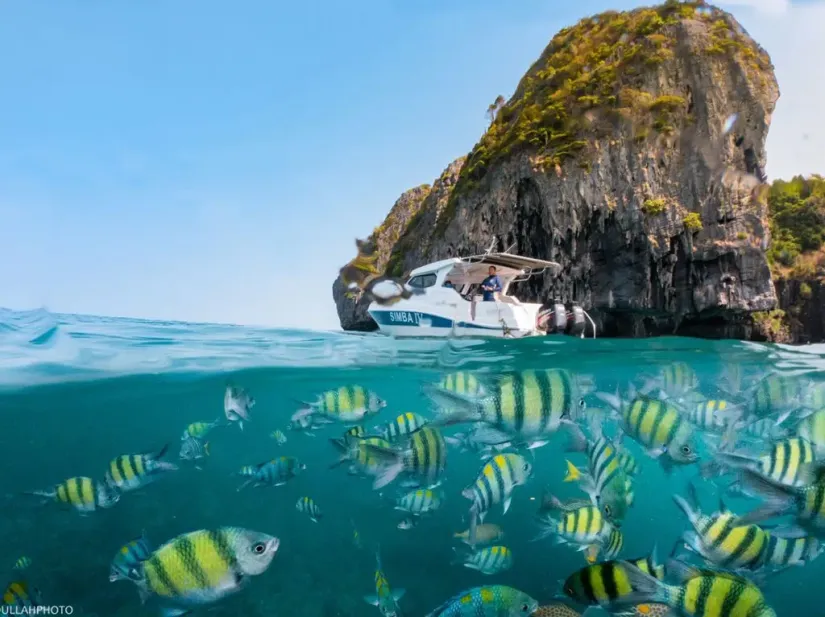 Best ways to Celebrate a Special Occasion in Phuket Simba Sea Trips