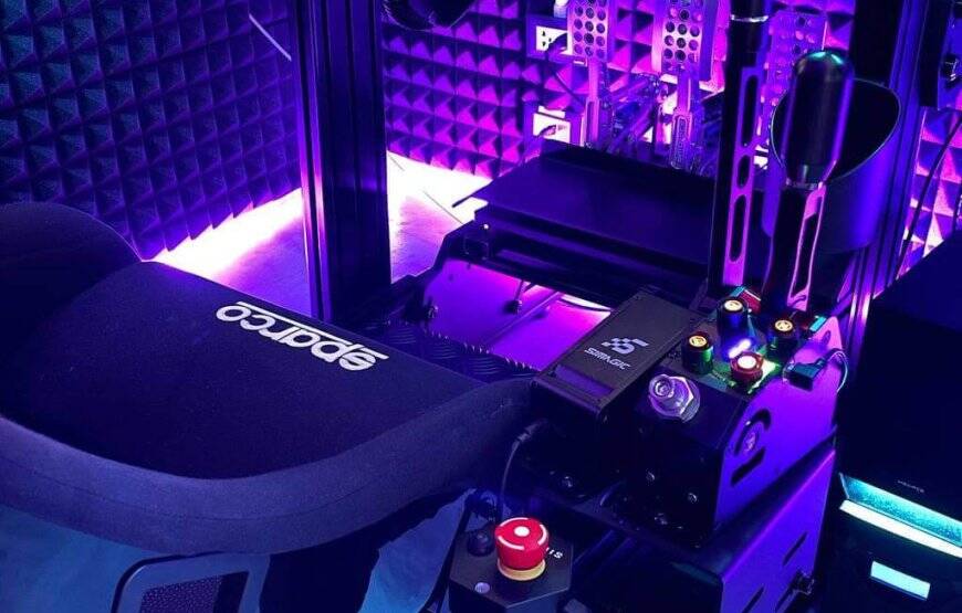 Professional Race Car or Flight simulation experience