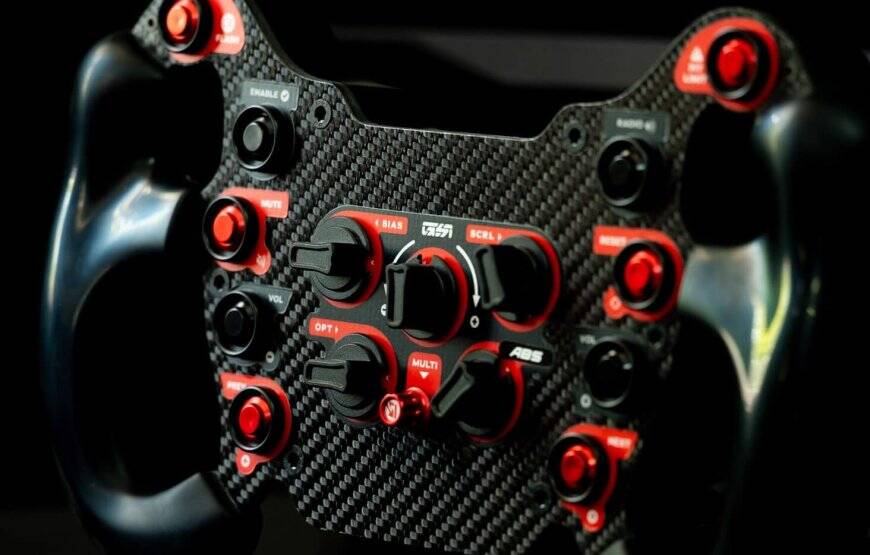 Professional Race Car or Flight simulation experience