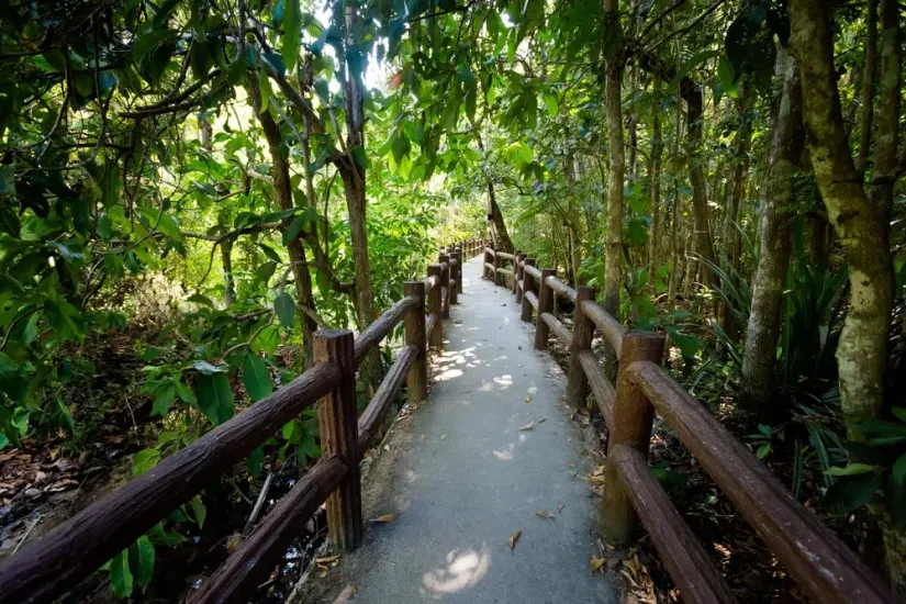 Thung Teao Forest Natural Park Simba Sea Trips