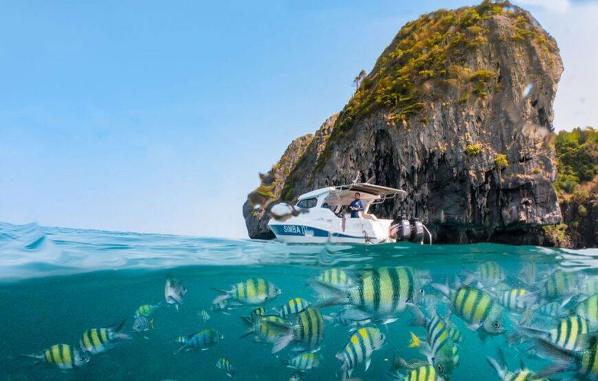 Phi Phi Islands Sunrise Tour