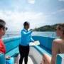 Private Speedboat Tour to Phi Phi at Sunrise